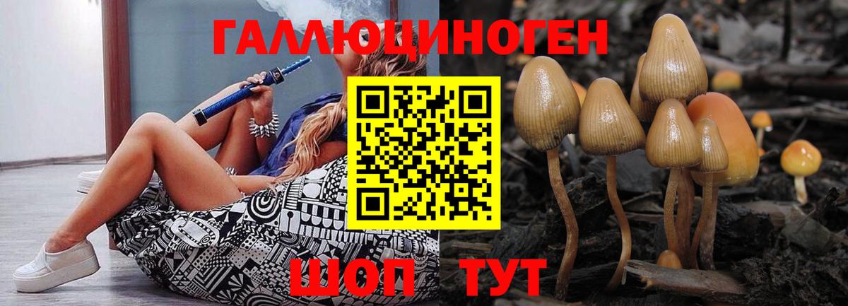 Галлюциногенные грибы GOLDEN TEACHER Артёмовский